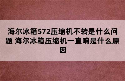 海尔冰箱572压缩机不转是什么问题 海尔冰箱压缩机一直响是什么原因